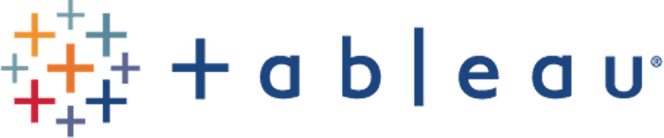 Datasoft Consulting Big data logo tableau