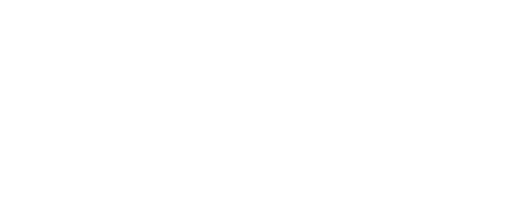 Datasoft Consulting Big data logo scala